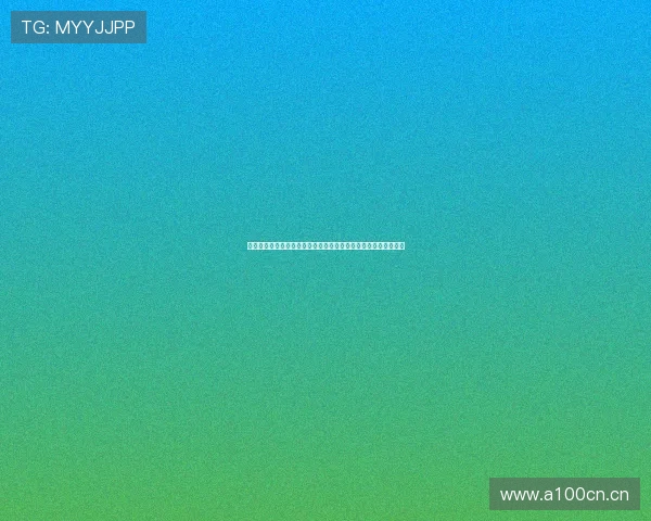 雷鸟科技引领场景互联网发展推动数字化转型与智能化升级新机遇